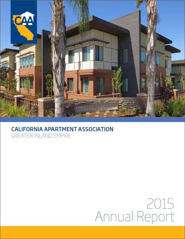 CAA IE annual report 2015 image