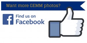 More GEMM photos on FB